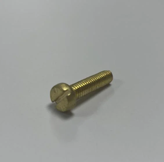 Slotted Head Machine Screws